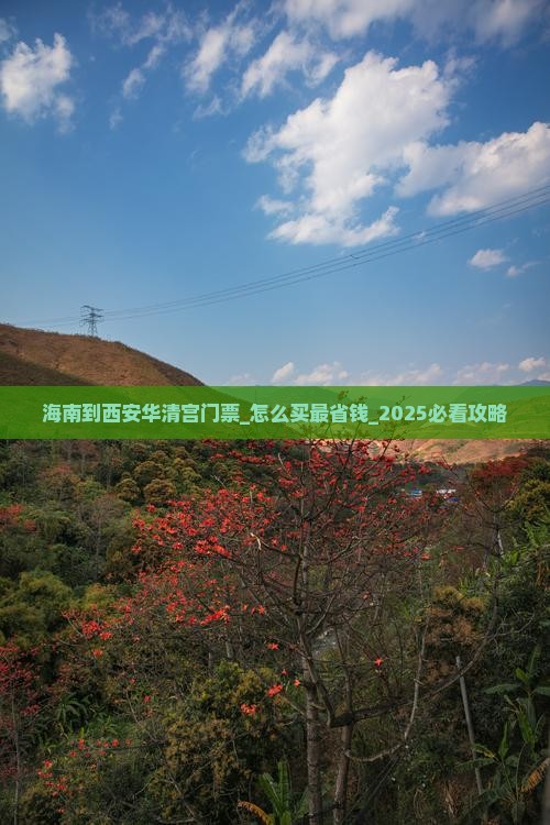 海南到西安华清宫门票