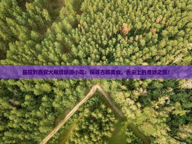 益阳到西安大雁塔旅游小吃 益阳到西安大雁塔旅游小吃