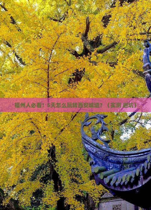 福州去西安城墙攻略 福州去西安城墙攻略