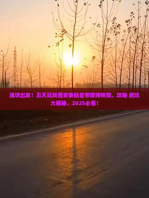 潍坊去西安秦始皇帝陵博物院五日游