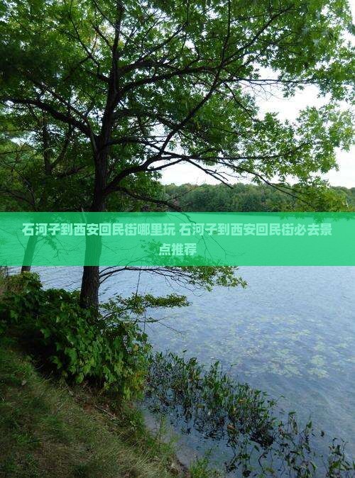 石河子到西安回民街哪里玩