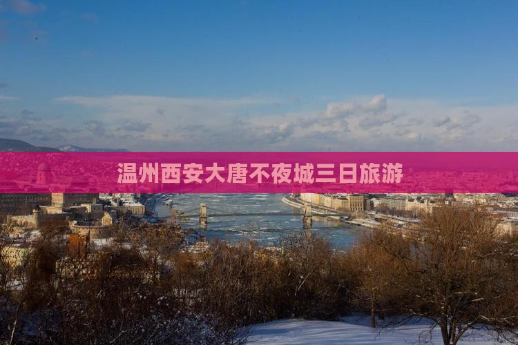 温州到西安大唐不夜城三日游
