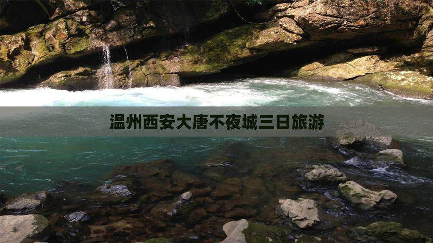 温州到西安大唐不夜城三日游