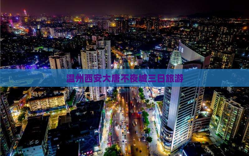 温州到西安大唐不夜城三日游