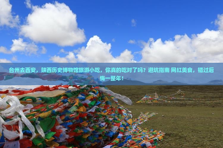 台州去西安陕西历史博物馆旅游小吃