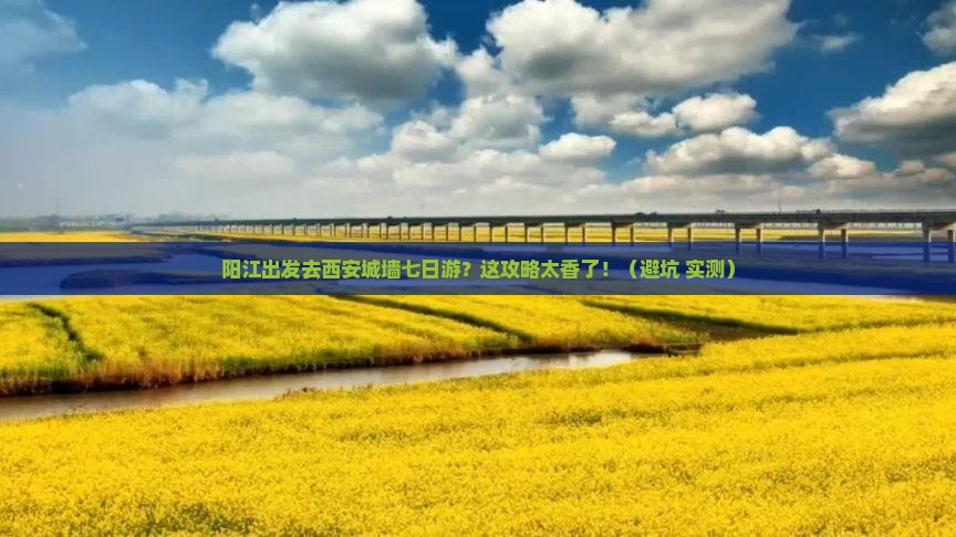 阳江去西安城墙七日游