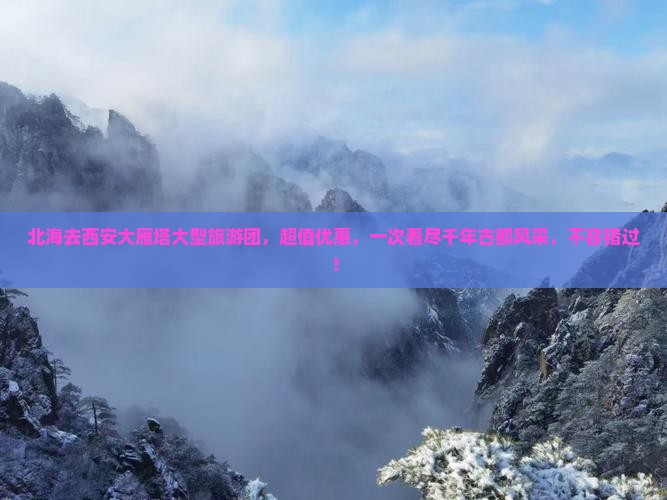 北海去西安大雁塔大型旅游团