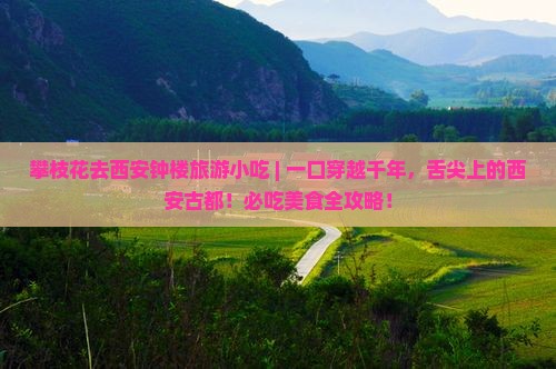 攀枝花去西安钟楼旅游小吃