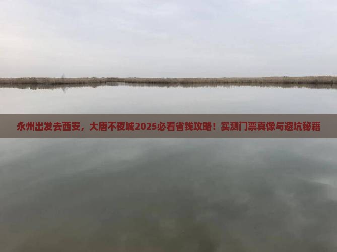 永州去西安大唐不夜城门票