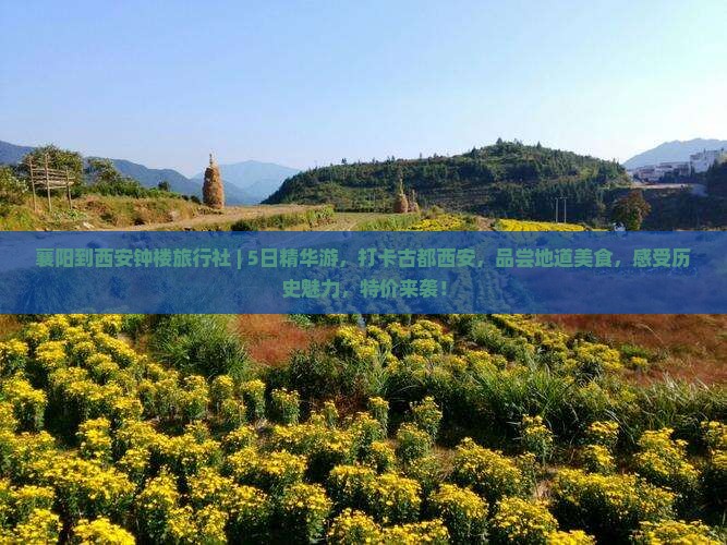 襄阳到西安钟楼旅行社