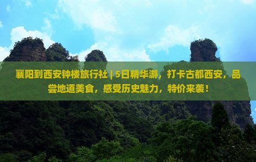 襄阳到西安钟楼旅行社