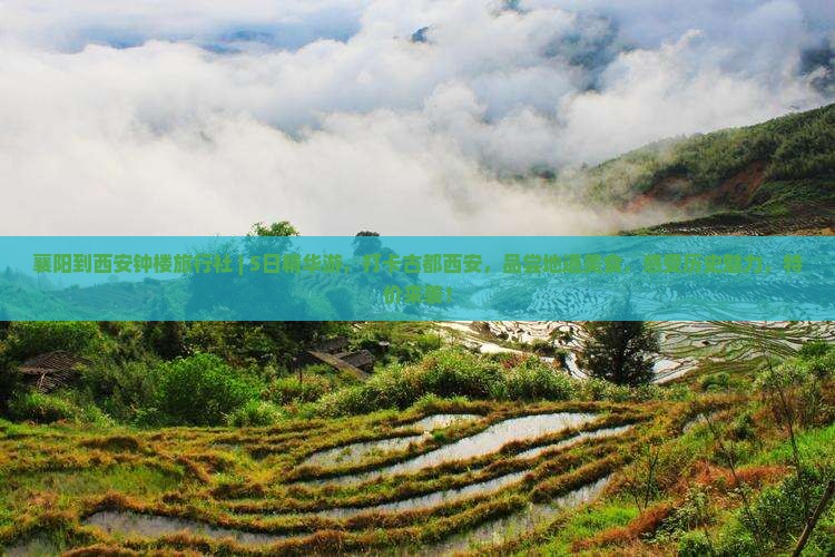 襄阳到西安钟楼旅行社