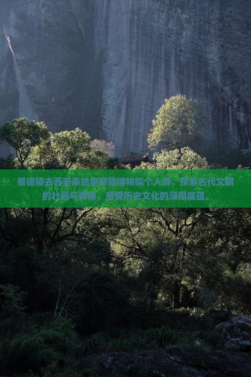 景德镇去西安秦始皇帝陵博物院个人游