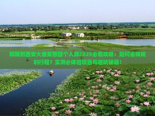 铜陵到西安大唐芙蓉园个人游