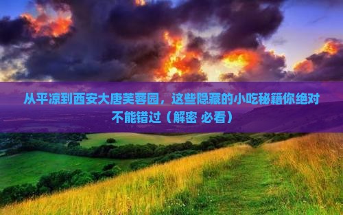 平凉去西安大唐芙蓉园旅游小吃