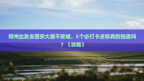 朔州去西安大唐不夜城旅行社
