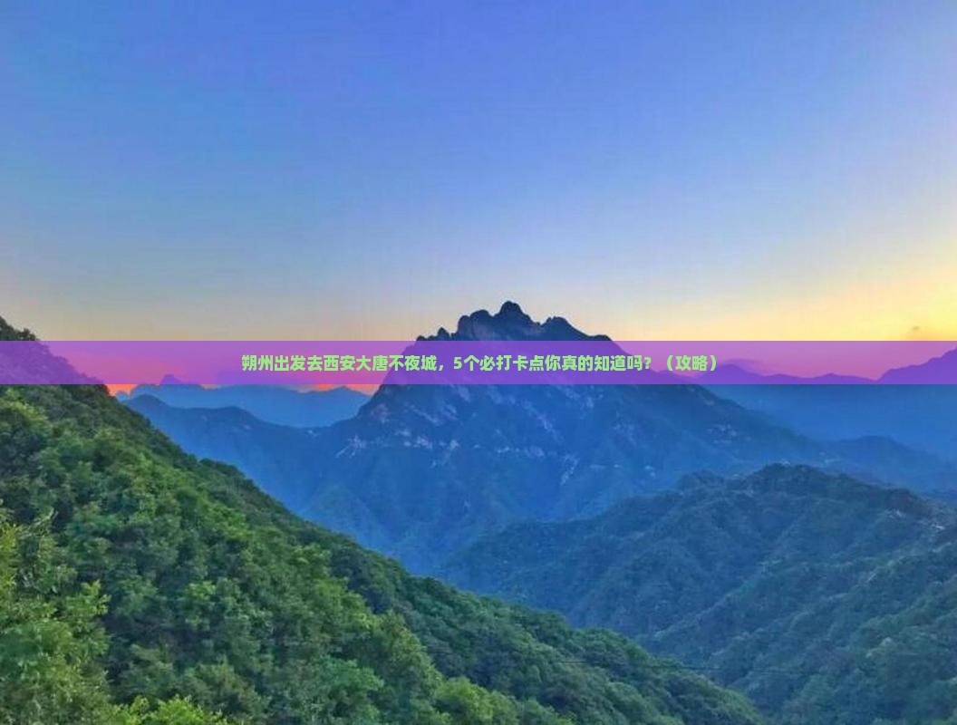 朔州去西安大唐不夜城旅行社