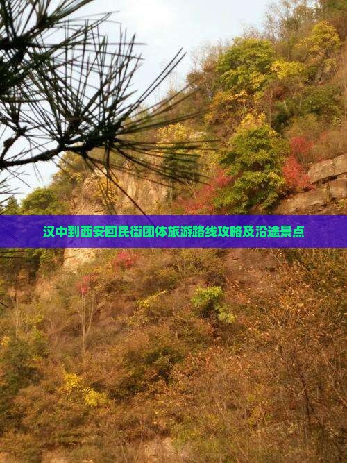 汉中到西安回民街团体旅游
