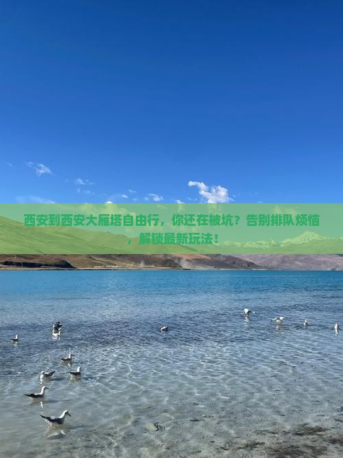 西安到西安大雁塔自由行