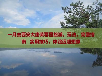一月去西安大唐芙蓉园旅游
