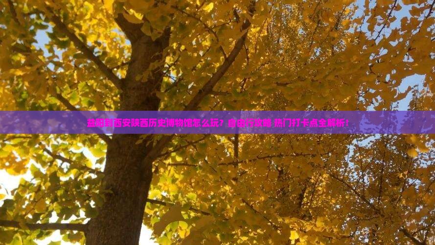益阳到西安陕西历史博物馆自由行