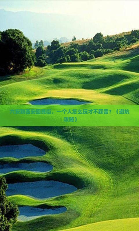 六安到西安回民街个人游