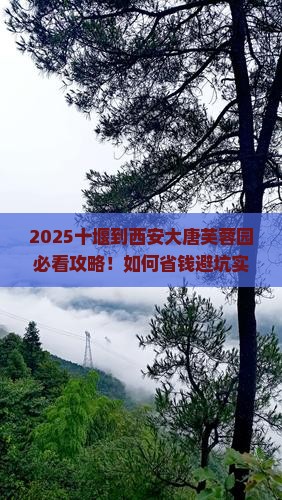 十堰到西安大唐芙蓉园旅行社 十堰到西安大唐芙蓉园旅行社