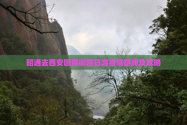昭通去西安回民街四日游