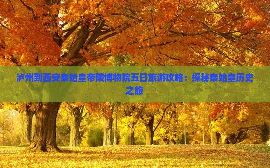 泸州到西安秦始皇帝陵博物院五日游