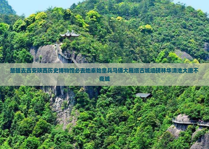 楚雄去西安陕西历史博物馆必去地
