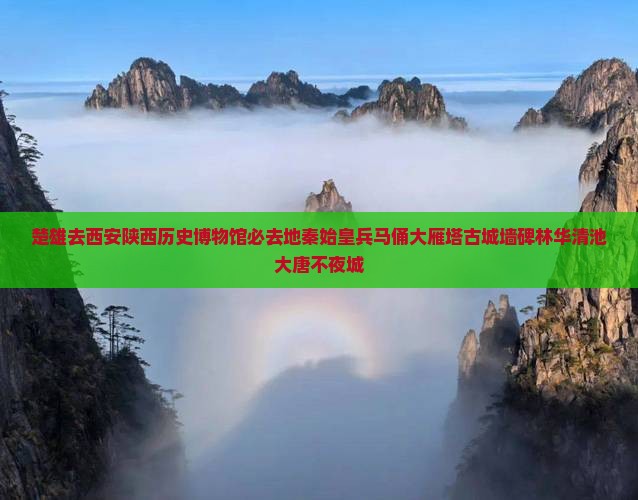 楚雄去西安陕西历史博物馆必去地