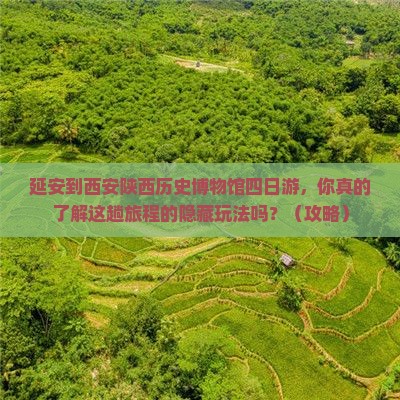 延安到西安陕西历史博物馆四日游