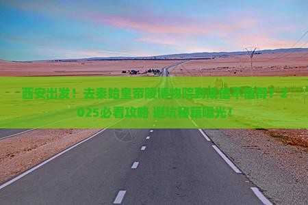 西安到西安秦始皇帝陵博物院旅游