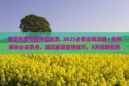商洛到西安回民街旅游