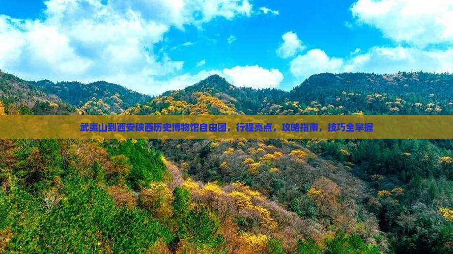 武夷山到西安陕西历史博物馆自由团