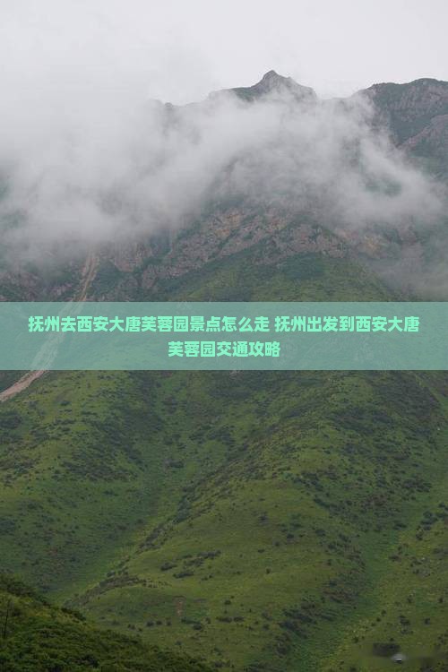 抚州去西安大唐芙蓉园景点