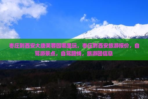 枣庄到西安大唐芙蓉园哪里玩