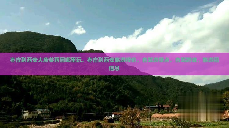 枣庄到西安大唐芙蓉园哪里玩