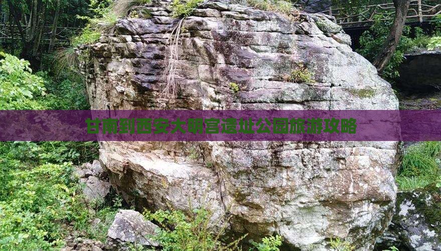 甘南去西安大明宫国家遗址公园景点