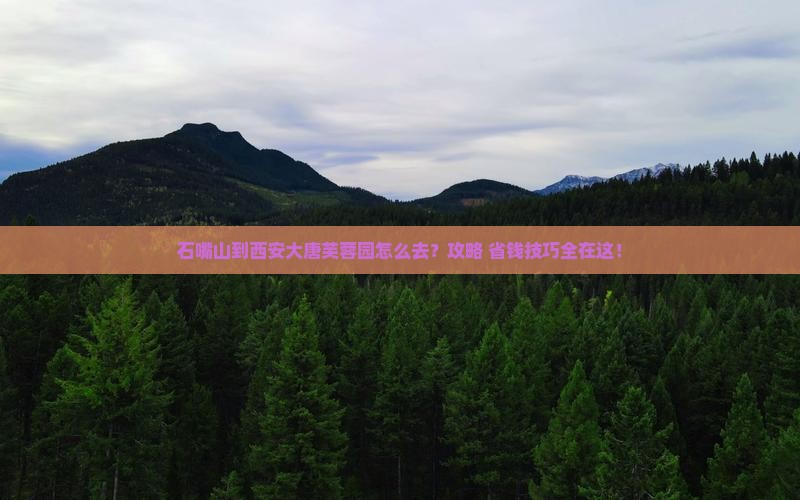 石嘴山到西安大唐芙蓉园旅游
