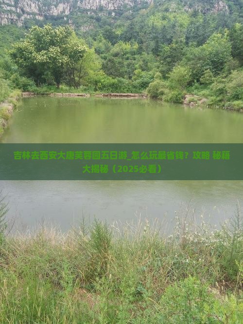 吉林去西安大唐芙蓉园五日游