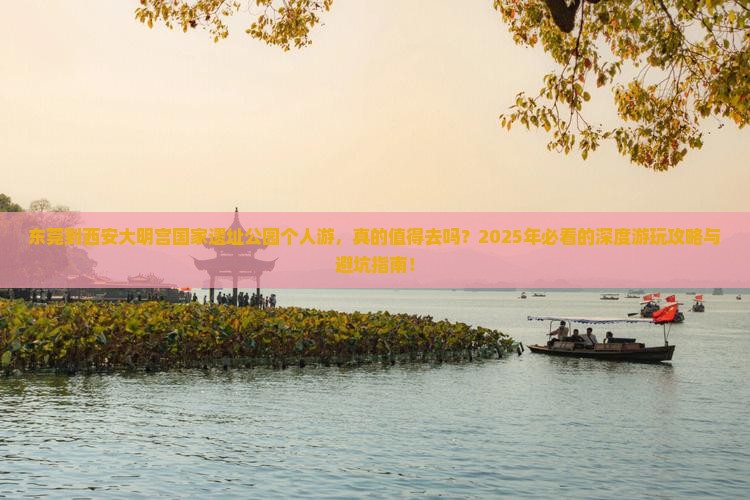 东莞到西安大明宫国家遗址公园个人游