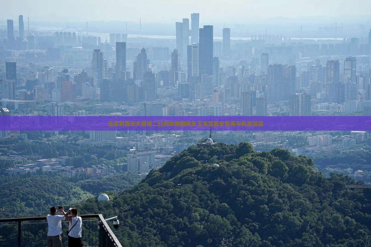 玉溪到西安大雁塔二日游