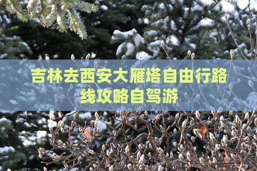 吉林去西安大雁塔自由行