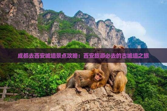 成都去西安城墙景点