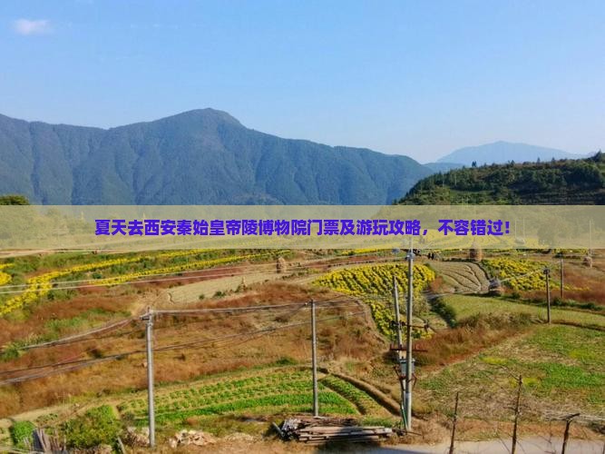 夏天去西安秦始皇帝陵博物院门票