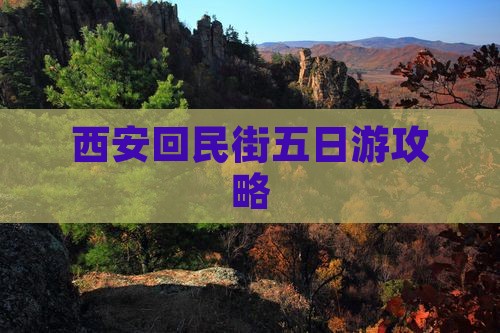 乌海去西安回民街五日游