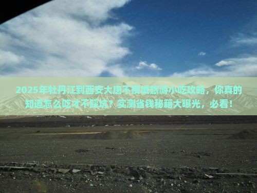 牡丹江到西安大唐不夜城旅游小吃