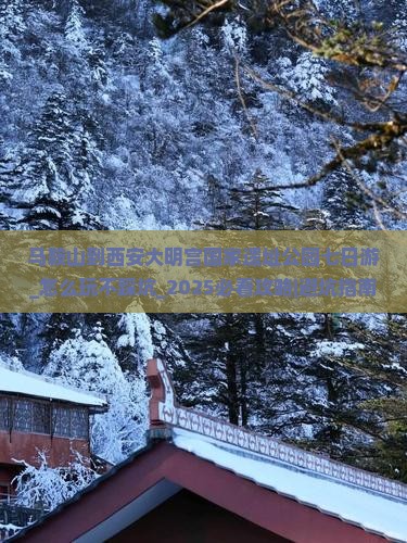 马鞍山到西安大明宫国家遗址公园七日游