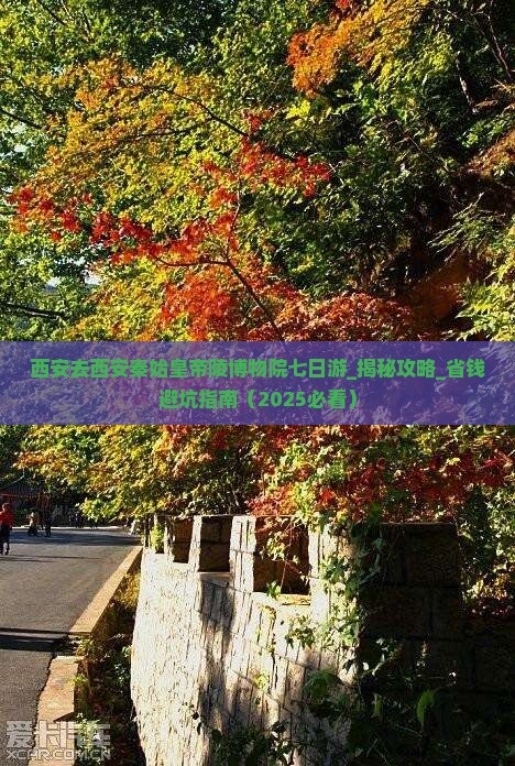 西安去西安秦始皇帝陵博物院七日游